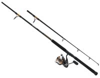 Daiwa BG Inshore Spinning Combo