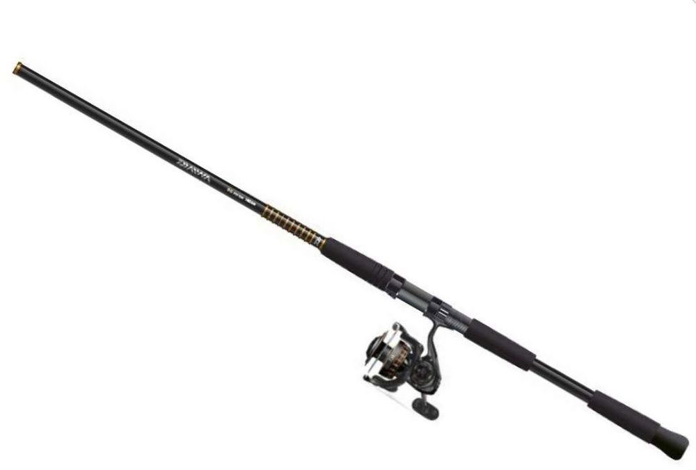 Dick's Sporting Goods Daiwa BG Saltwater Spinning Combo