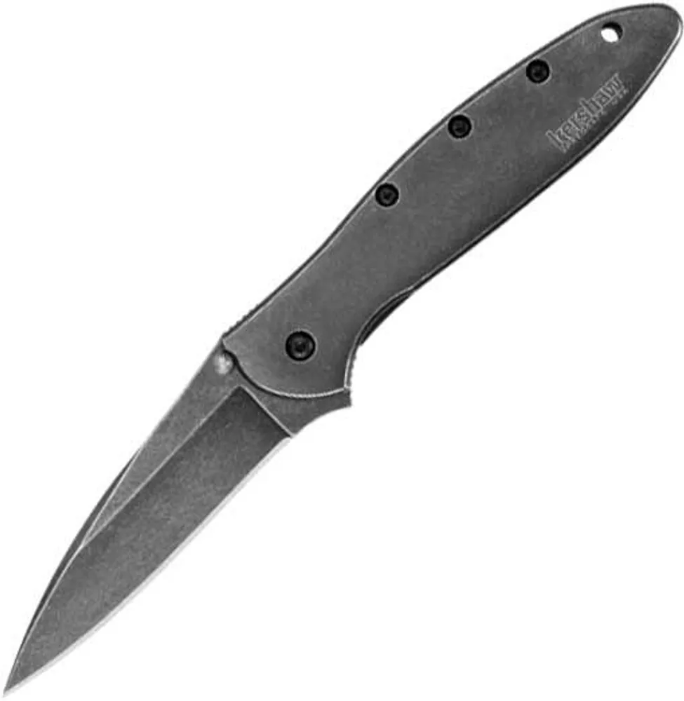 Kershaw Leek Drop Point Folding Knife