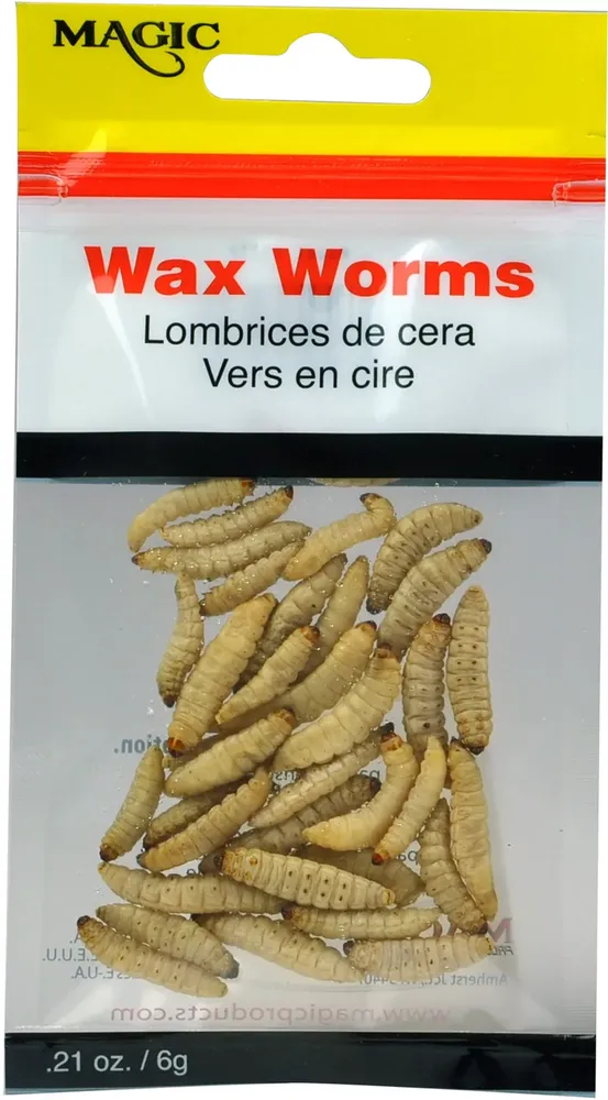 Dick's Sporting Goods Magic Preserved Wax Worms
