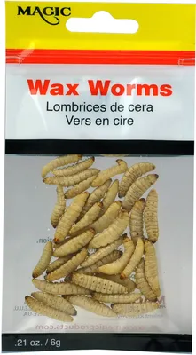 Magic Preserved Wax Worms