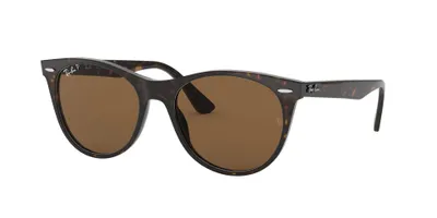 Ray-Ban Wayfarer II Classics Polarized Sunglasses