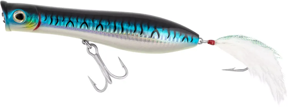 Tsunami XD Talkin' Popper Lure