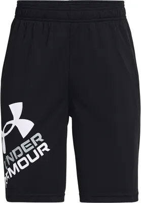 Under Armour Boys' Prototype 2.0 Logo Shorts