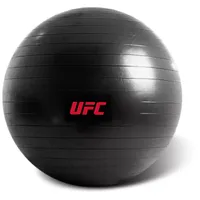 UFC Fit Ball