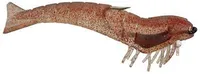 DOA 6 Shrimp Lures