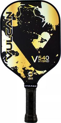 Vulcan V540 Control Paddle