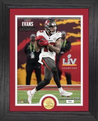 Tampa Bay Buccaneers Legacy Bronze Coin Photo Mint