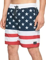 Hurley Men's Patriot 17” Volley Shorts