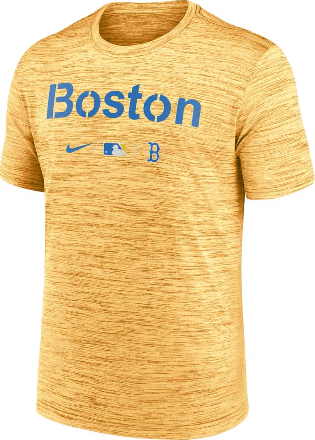 Dick's Sporting Goods Nike Men's Boston Red Sox 2022 City Connect