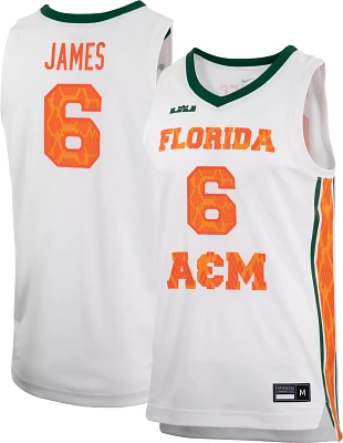 Nike x LeBron James Men's Florida A&M Rattlers #6 Replica Basketball Jersey