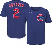 Dick's Sporting Goods Nike Men's Chicago Cubs Blue Legend T-Shirt