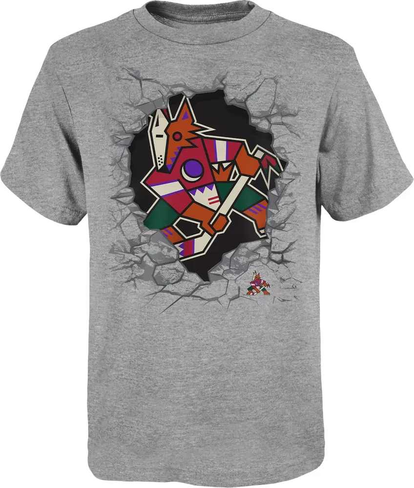 NHL Youth Arizona Coyotes Breakthrough Grey T-Shirt