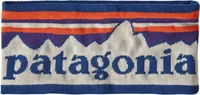 Patagonia Powder Town Headband