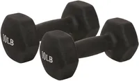 Sunny Health and Fitness Neoprene 10lb Dumbbell Set