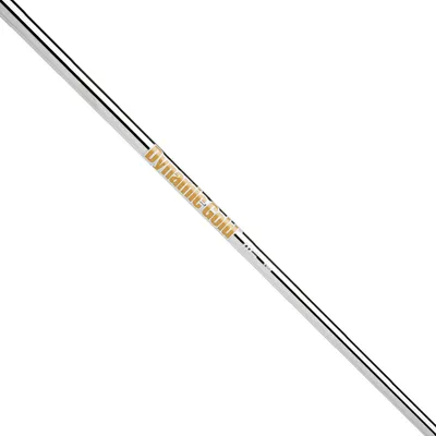 True Temper Dynamic Gold Steel Wedge Shaft (.355")