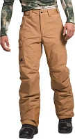 The North Face Men's Freedom Insulated Pants