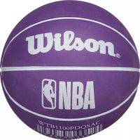 Wilson Sacramento Kings 2" Mini Dribbler Basketball