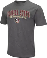 Colosseum Men's Florida State Seminoles Gray Promo T-Shirt