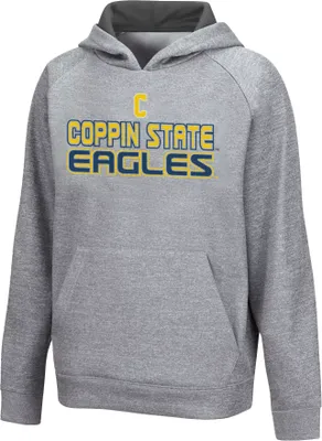 Colosseum Youth Coppin State Eagles Grey Hoodie