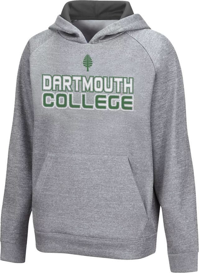 Dick's Sporting Goods NFL Team Apparel Youth Green Bay Packers Primary Logo  Grey Hoodie