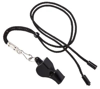 DICK's Sporting Goods Official's Whistle