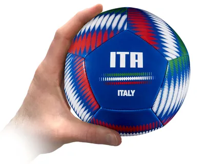 DICK'S Sporting Goods Italy Mini Soccer Ball