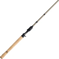 Fenwick HMG Casting Rod