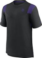 Men's Nike Purple Minnesota Vikings Legend Icon Performance T-Shirt