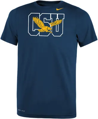 Nike Youth Coppin State Eagles Blue Dri-FIT Legend 2.0 T-Shirt