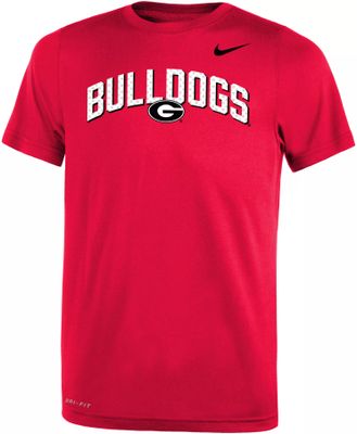 Nike Washington State Cougars Baseball Team Issue Legend T-Shirt