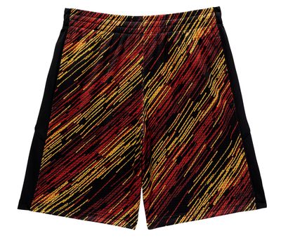 DSG Boys' Basketball Shorts