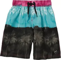 Speedo Boys' Printed 17” Board Shorts