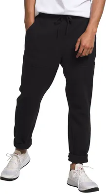 The North Face Men's Alpine Polartec® 100 Pants