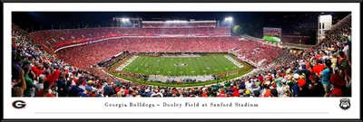 Blakeway Panoramas Georgia Bulldogs Standard Framed Picture