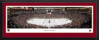 Blakeway Arizona Coyotes Deluxe Panoramic Double Mat Photo Frame