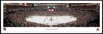 Blakeway Arizona Coyotes Standard Panoramic Photo Frame