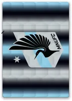 Pegasus Sports Minnesota United FC Ombre Striped Blanket