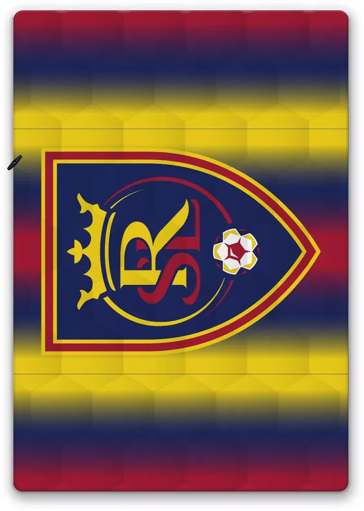 Pegasus Sports Real Salt Lake Ombre Striped Blanket