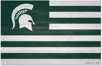 WinCraft Michigan State Spartans 11x17 Wood Americana Sign