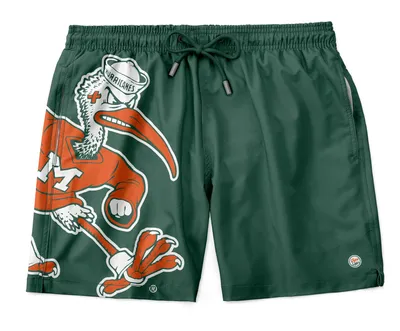 Dyme Lyfe Youth Miami Hurricanes Green Big Mascot Shorts