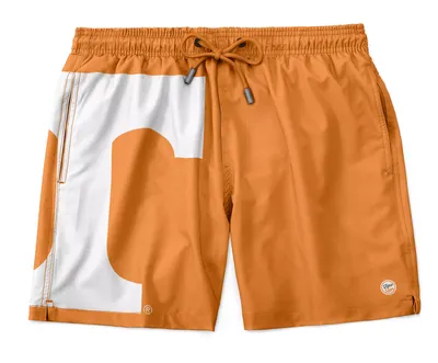 Dyme Lyfe Youth Tennessee Volunteers Orange Big Mascot Shorts
