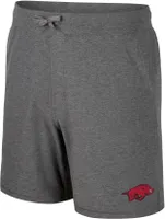 Colosseum Men's Arkansas Razorbacks Dark Grey Skynet Shorts