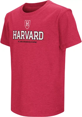 Colosseum Youth Harvard Crimson Cardinal T-Shirt