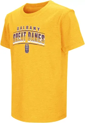 Colosseum Youth Albany Great Danes Gold T-Shirt