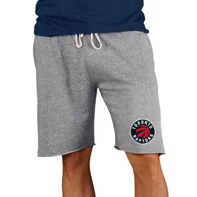 College Concepts Men's Toronto Raptors Grey Mainstream Shorts