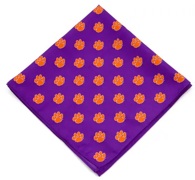 Eagles Wings Clemson Tigers Kerchief/Pocket Square