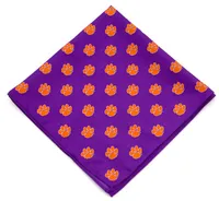 Eagles Wings Clemson Tigers Kerchief/Pocket Square