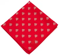 Eagles Wings Ohio State Buckeyes Kerchief/Pocket Square