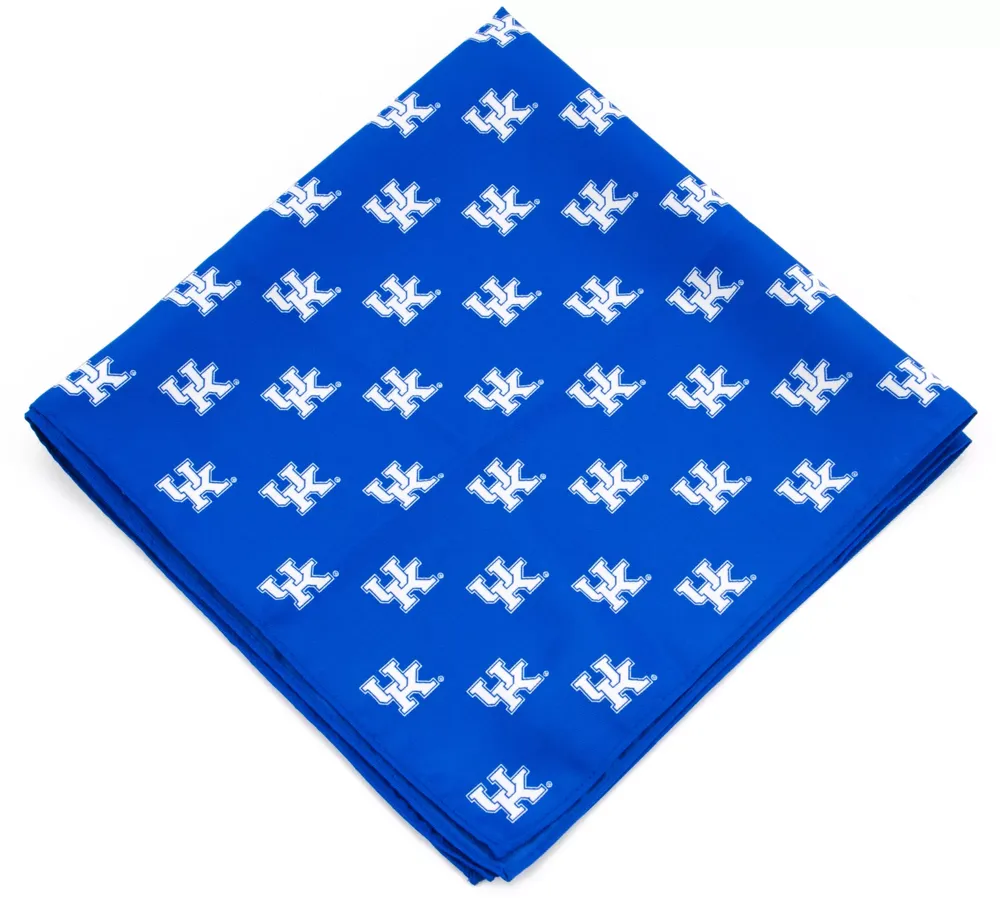 Eagles Wings Kentucky Wildcats Kerchief/Pocket Square